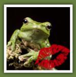 The Kiss of the Frog with Ginny Rutherford