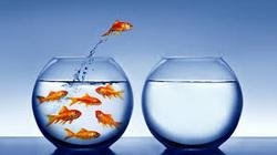 Business Game Changers Radio with Sarah Westall: Paul Rosenberg Talks about our Current Reality & Jo Miller provides a Glimpse of the Coaching Tips she shares with Executive