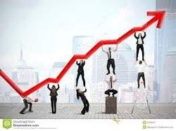 Transform your Business into a Profit-Making Machine!