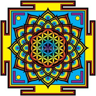 Encore: The Psychedelic Renaissance: Healing People and Policies, with Rick Doblin PHD from MAPS
