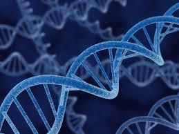 DNA and our Ancestry how does it impact the physical? with Author Charan Surdhar