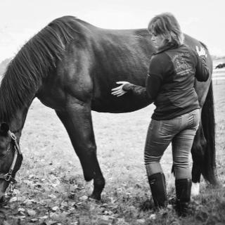 Do You Hear What I Hear?  Linday Bodkin, Ladybird Light - Reiki Master Teacher and Animal Communicator