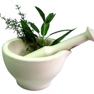 Why Herbal Medicine is Relevant in Modern Integrative Healthcare with Katya Difani