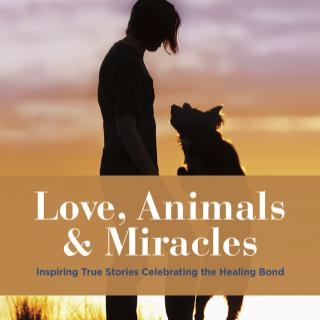 Love, Animals and Miracles with Dr. Bernie Siegel