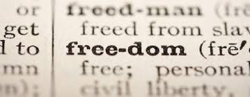 Business Game Changers Radio with Sarah Westall: Whistle Blower Persecution causes U.S. to plunge to 49th in the World Press Freedom Index