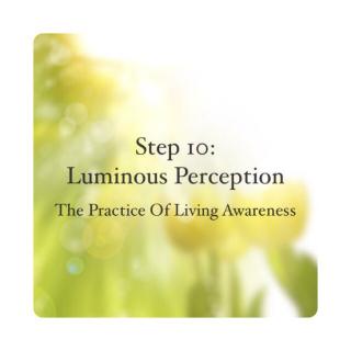 Encore: Exploring Luminous Perception Through The Awesome Ones (AKA kids & adults diagnosed with Autism)