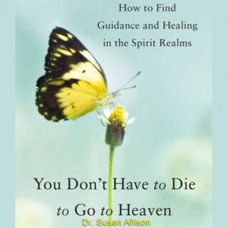 You Don't Have to Die to Go to Heaven with Author Dr. Susan Allison