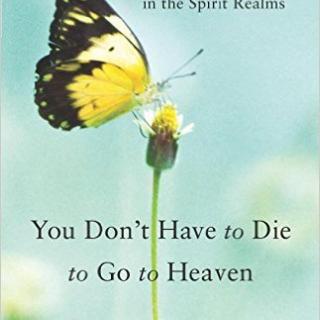 You Don't Have to Die to Go to Heaven with Dr. Susan Allison