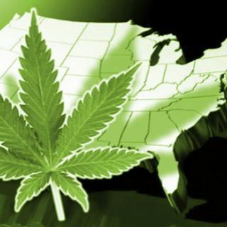Cannabis Legalization in the US, with NORML Deputy Director Paul Armentano 