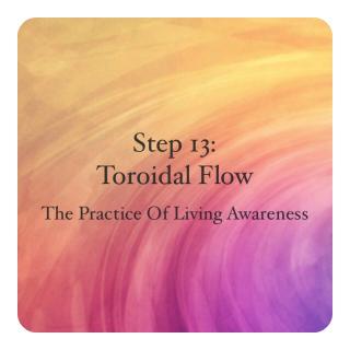 Toroidal Flow and The Blueprint for Clean Living