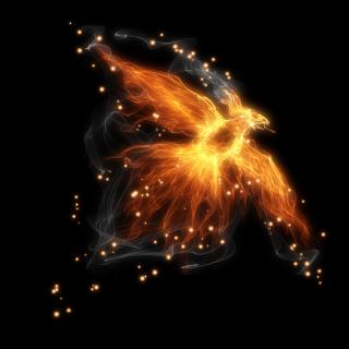 Dr Jenn’s Annual Angel Guidance for 2016