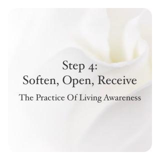 Negotiating Mindfulness