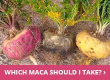What Are the Benefits of Maca for Women with Mark Ament 