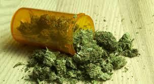 Business Game Changers Radio with Sarah Westall: Cannabis is the Fastest Growing Industry in the U.S. – What You Need to Know Before You Join the Rush