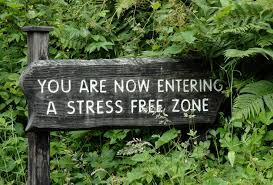 The Toxic Impact Stress Has On The Body, How To Manage Stress, Heal P.T.S.D. and Related Illnesses with Frannie Sheridan!
