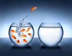 Business Game Changers Radio with Sarah Westall: The Extreme CEO Leading Mission Impossible Situations