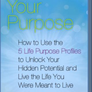 Discover Your Purpose with guest Rhys Thomas
