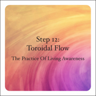 The Dynamic Effects of Toroidal Flow
