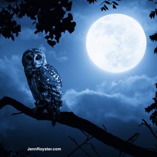 Clairsentience: Angel Guidance for June 2016