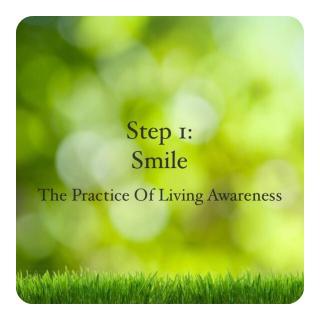 Creating Your Day with Ellyse Jolley