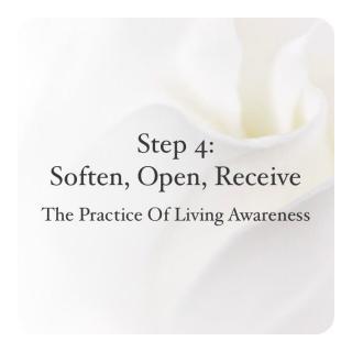 !Soften, Open, and Receive... Key Elements of the Creative Process