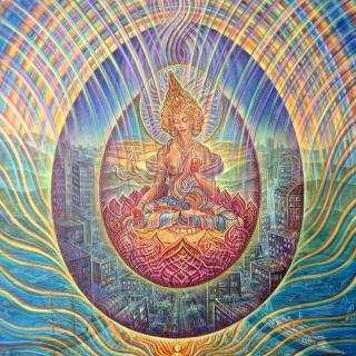 Life is a Transformation: Celebrating and Finding Peace within the Chaos, with Jimi Ohm 