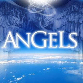 Angels Help Raise Your Vibrations with The Angel Lady Sue Storm