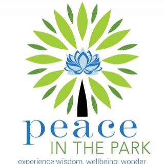 Bringing Peace to the Park: Creating Social Gatherings To Experience Joy with Jay Chodagam 