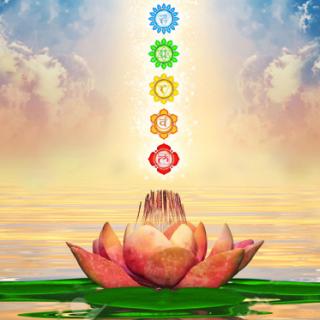 Expected Progress You Can Achieve from Spiritual Diagnosis with Carol Dorian 