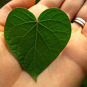 How Important is Self Love with guest Matthew Emerzian
