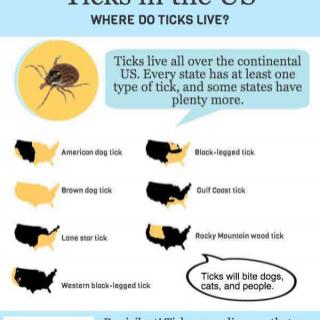 Lyme Dis-Ease… What’s Bugging You? Colette Marie Stefan and Guest Will Hatch