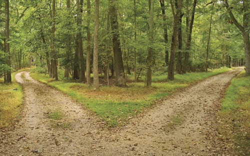 Stepping Onto Your Destiny Path with Co-host Joy Elaine