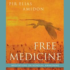 Free Medicine: The Blessing of Nondual Awakening with Author and Sufi Teacher Pir Elias Amidon