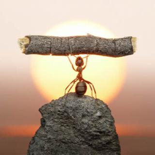 Start Winning Now! Lynn’s Personal Top 5 Gold Nuggets for Winning at the Game of Life