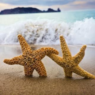 Strengthening The Connection - Get your Universal HUG