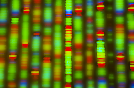 Business Game Changers Radio with Sarah Westall: CRISPR - Altering the Human Genome 