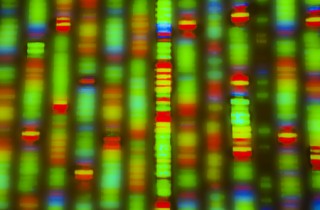 CRISPR - Altering the Human Genome 