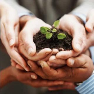 Creation: Every Day is New