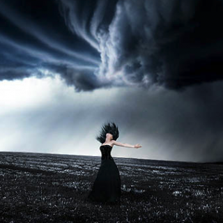 Navigating Through The Storm