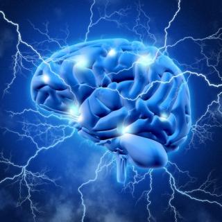 Neuroscience: Quest to Understand the Mechanics of Innovation, Prodigies, Reality Perception, and More