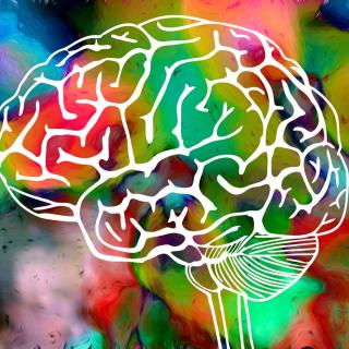 Psychedelic Science 2017: A Conversation with MAPS Executive Director, Rick Doblin PhD