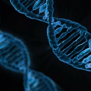 The Traumas of your Ancestors Are Sticking to your DNA