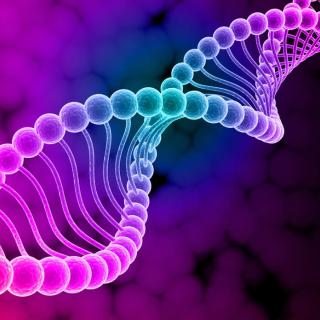 Bombshell! Full Solution to Reverse Aging in Human Cells Found with Dr. Bill Andrews, Pt. 2