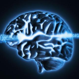 Minding Uploading and Neural Interfacing w/Dr. Randal Koene Pt. 2