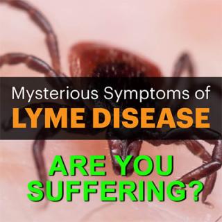 Lyme Disease and Detoxification (Why It works) with Naturopath and Holistic Nutrition Specialist Dr. Roni DeLuz