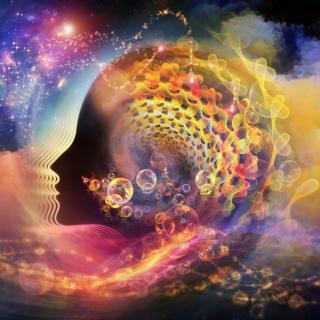 The Nature of Consciousness & The Origins of Life with Bruce Damer 