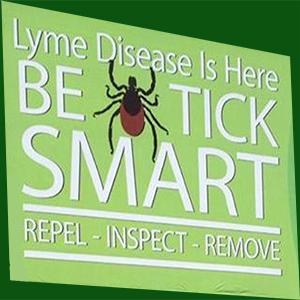 New Possibilities for the Treatment of Lyme Disease with Naturopath Dr. Nooshin Darvish 