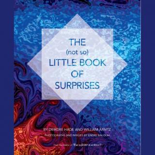 The Mystic & the Physicist and The Tao of Surprise - with William Arntz