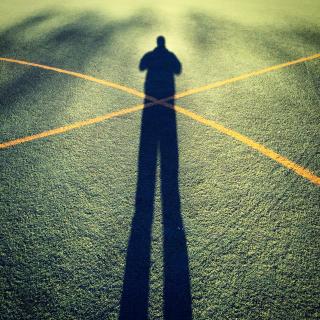 Honoring the Shadow