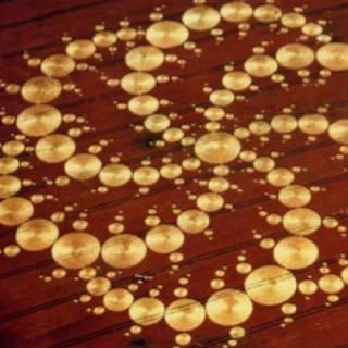 Business Game Changers Radio with Sarah Westall: Crop Circles: A Joke or Real Science & Why are Patty Greer's Films Shutout?